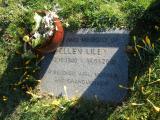 image of grave number 126175